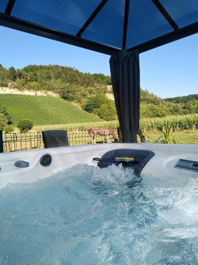 Вилла L'Echappee Belle En Champagne Spoy  Экстерьер фото